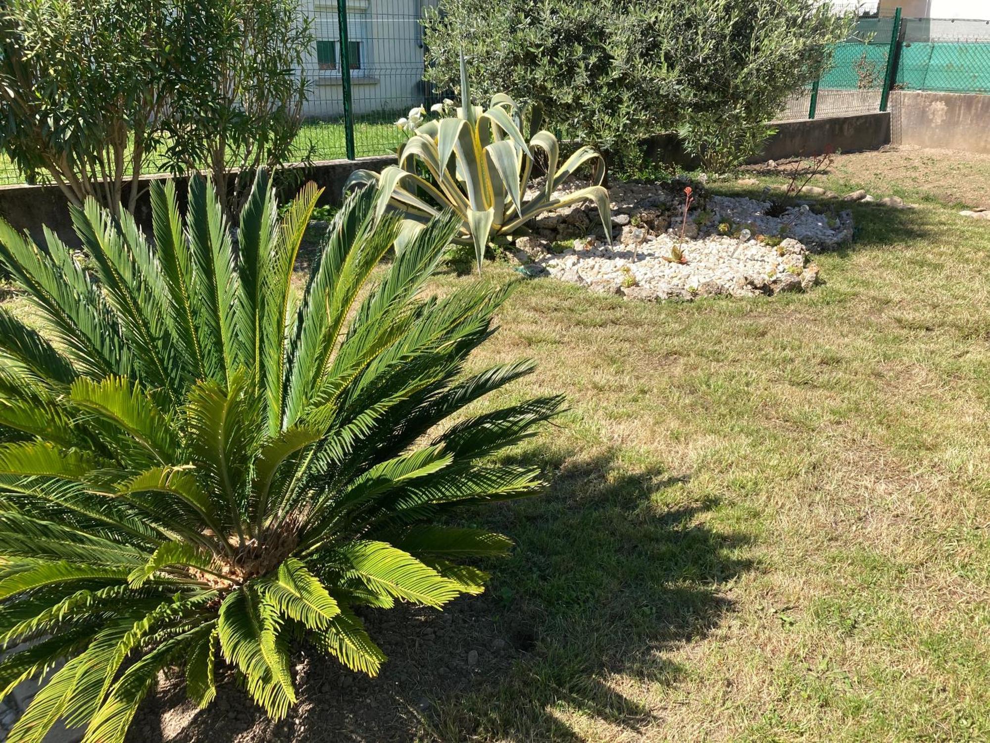 Chez Val Et Phil Hotel La Voulte-sur-Rhone Eksteriør billede