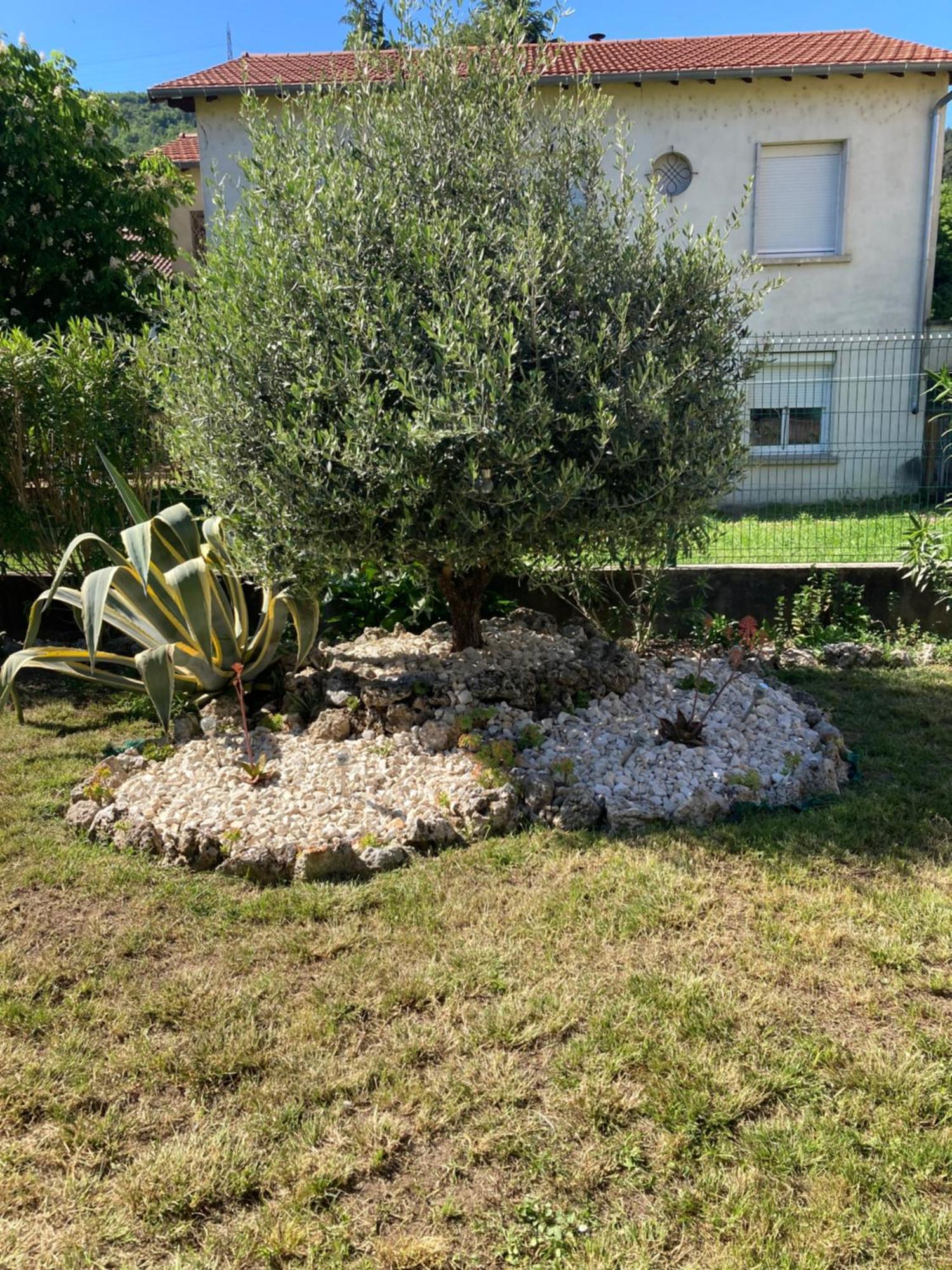Chez Val Et Phil Hotel La Voulte-sur-Rhone Eksteriør billede